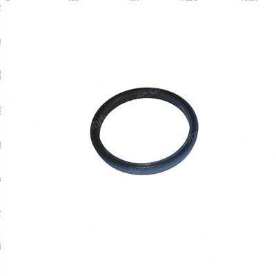 Picture of Seal