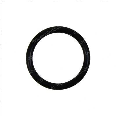 Picture of O-Ring