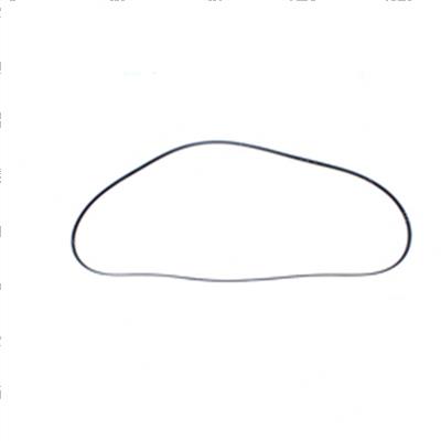 Picture of Belt - Serpentine