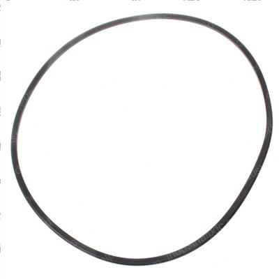 Picture of Seal - Oil