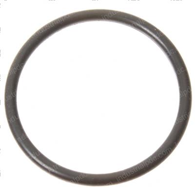 Picture of O-Ring