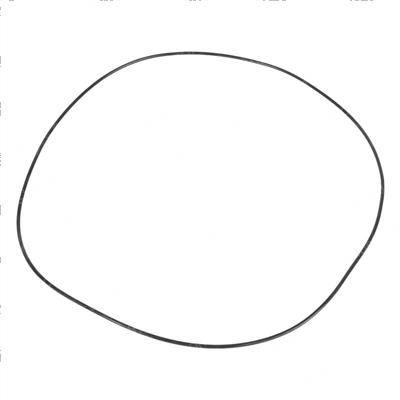 Picture of O Ring