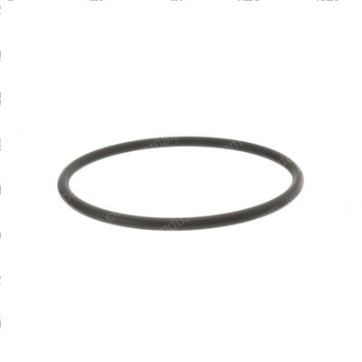 Picture of O-Ring
