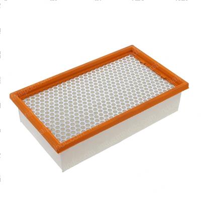 Picture of Flat-Pleated Filter Only for