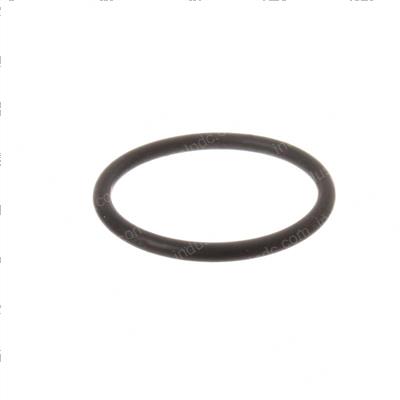 Picture of O-Ring