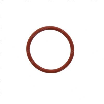 Picture of O Ring