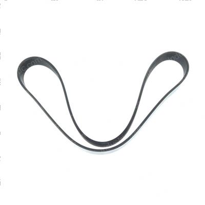 Picture of Flat Belt Stretchy