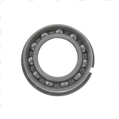 Picture of Bearing