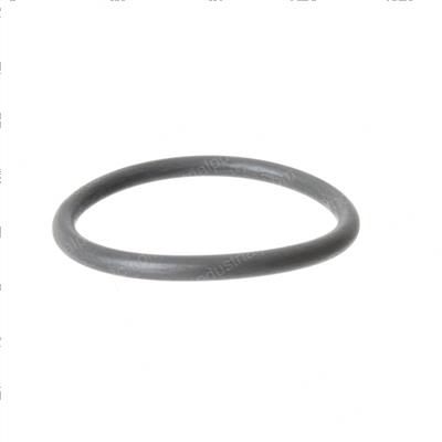 Picture of O-Ring