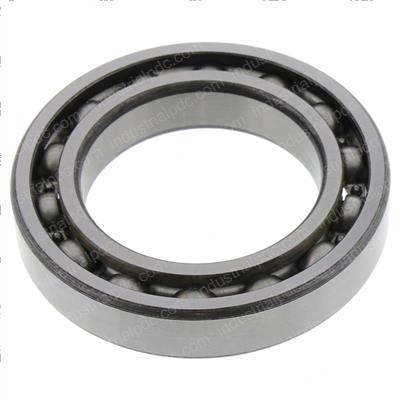 Picture of Bearing