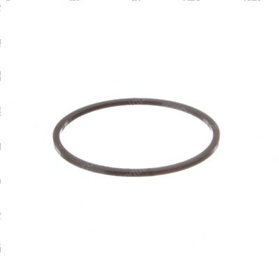 Picture of Back Up Ring