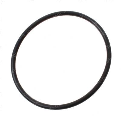 Picture of O-Ring
