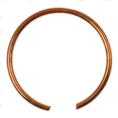 Picture of Ring Lock