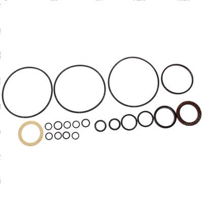 Picture of Seal Kit - Motor