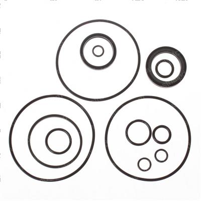 Picture of Seal Kit - Motor