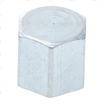 Picture of Fitting - Pipe Cap - Pf02