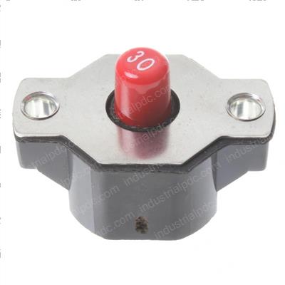Picture of Circuit Breaker 30 Amp