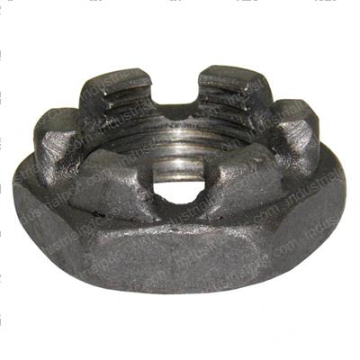 Picture of Nut Castle