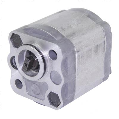 Picture of Gear Pump