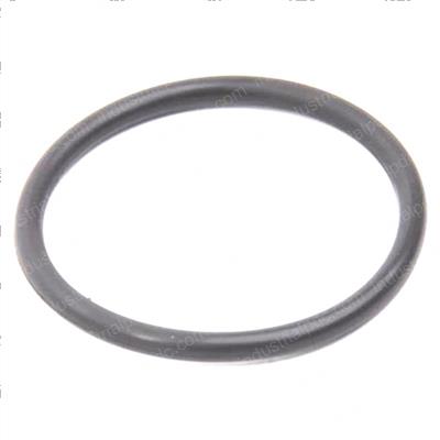 Picture of O-Ring