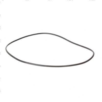 Picture of O-Ring