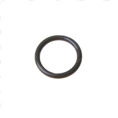 Picture of O-Ring