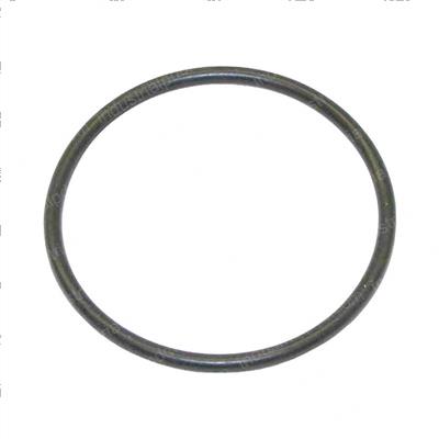 Picture of O-Ring