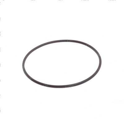Picture of O-Ring