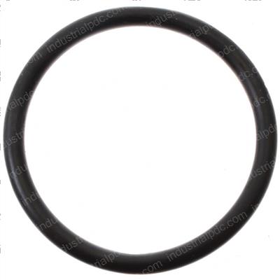 Picture of O-Ring