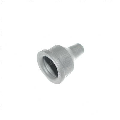 Picture of Nipple