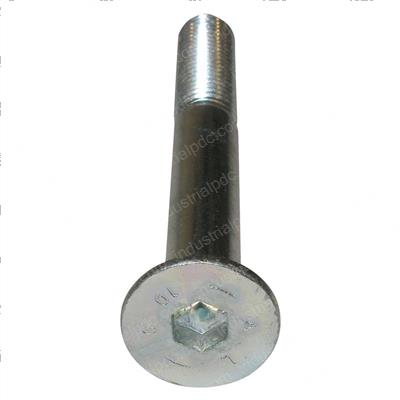 Picture of Screw
