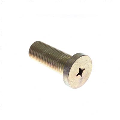 Picture of Bolt