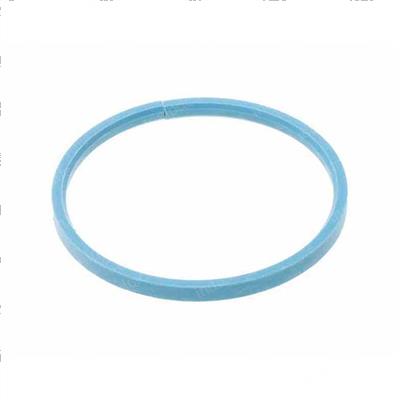 Picture of Teflon Filled Guide Ring