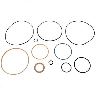 Picture of Seal Kit - Hydrostatic Motor