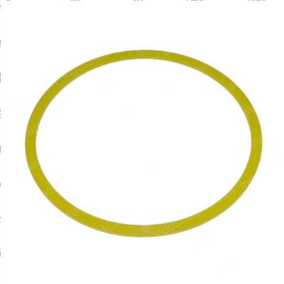 Picture of O-Ring