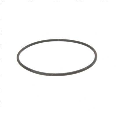 Picture of O-Ring
