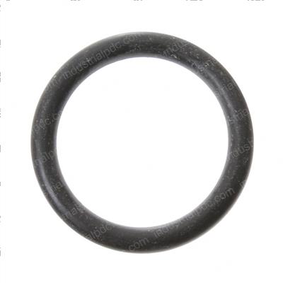 Picture of O Ring