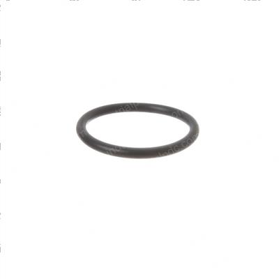Picture of O-Ring