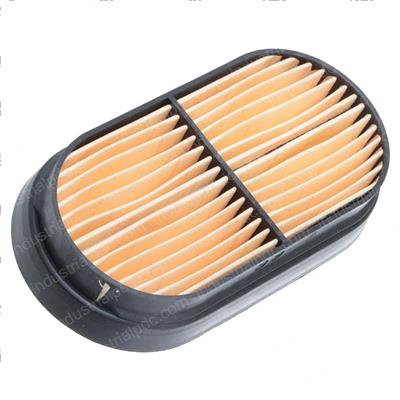 Picture of Filter - Air Interpart