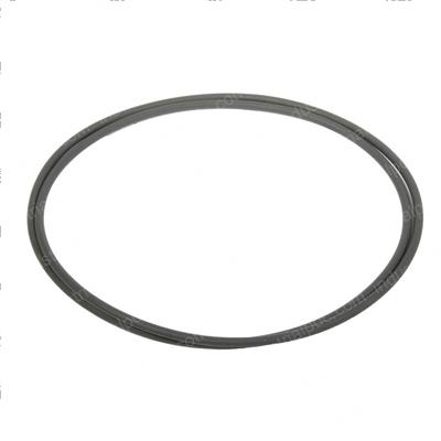 Picture of O-Ring