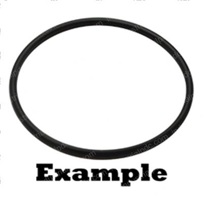 Picture of O-Ring