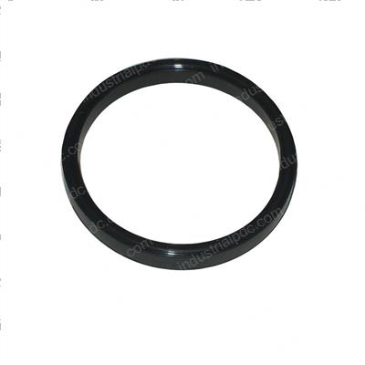 Picture of Seal - Special