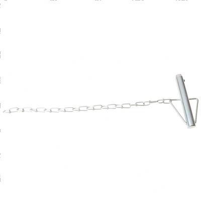 Picture of Lock Pin Assy