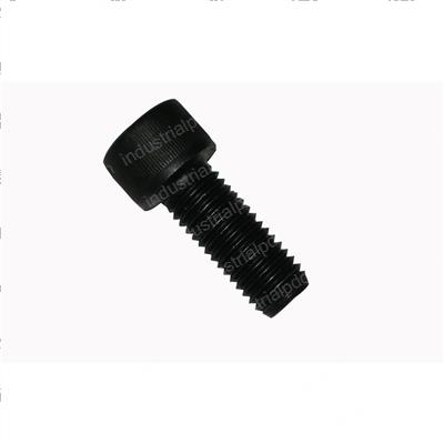 Picture of Bolt