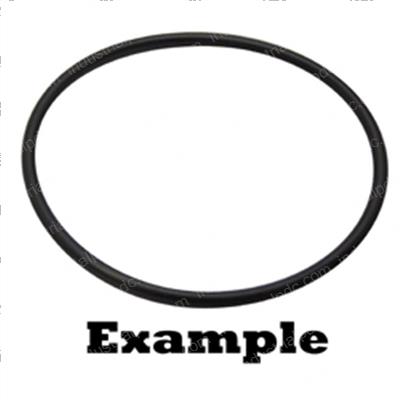 Picture of O-Ring