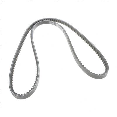 Picture of Belt