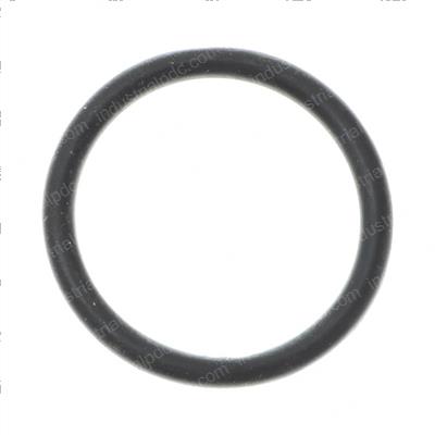 Picture of O-Ring Mastr Cylndrtmz