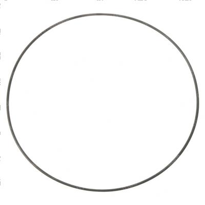 Picture of Svc-O Ring