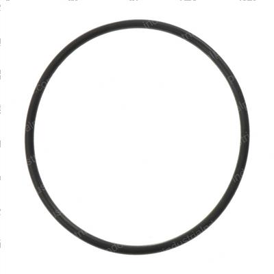 Picture of O-Ring