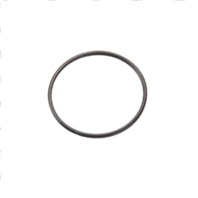 Picture of O-Ring